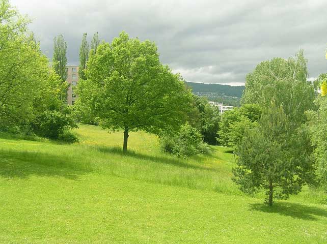 Sommer – Sonne auf der Wiese, Himmel bewölkt