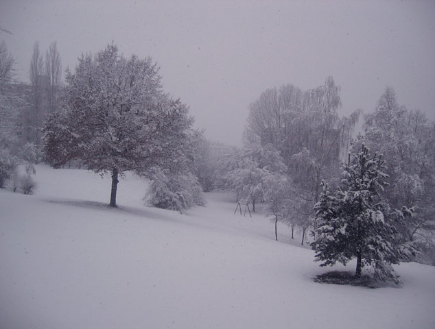 Winter – verschneite Landschaft